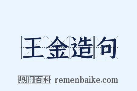 王金造句是什么意思的图片